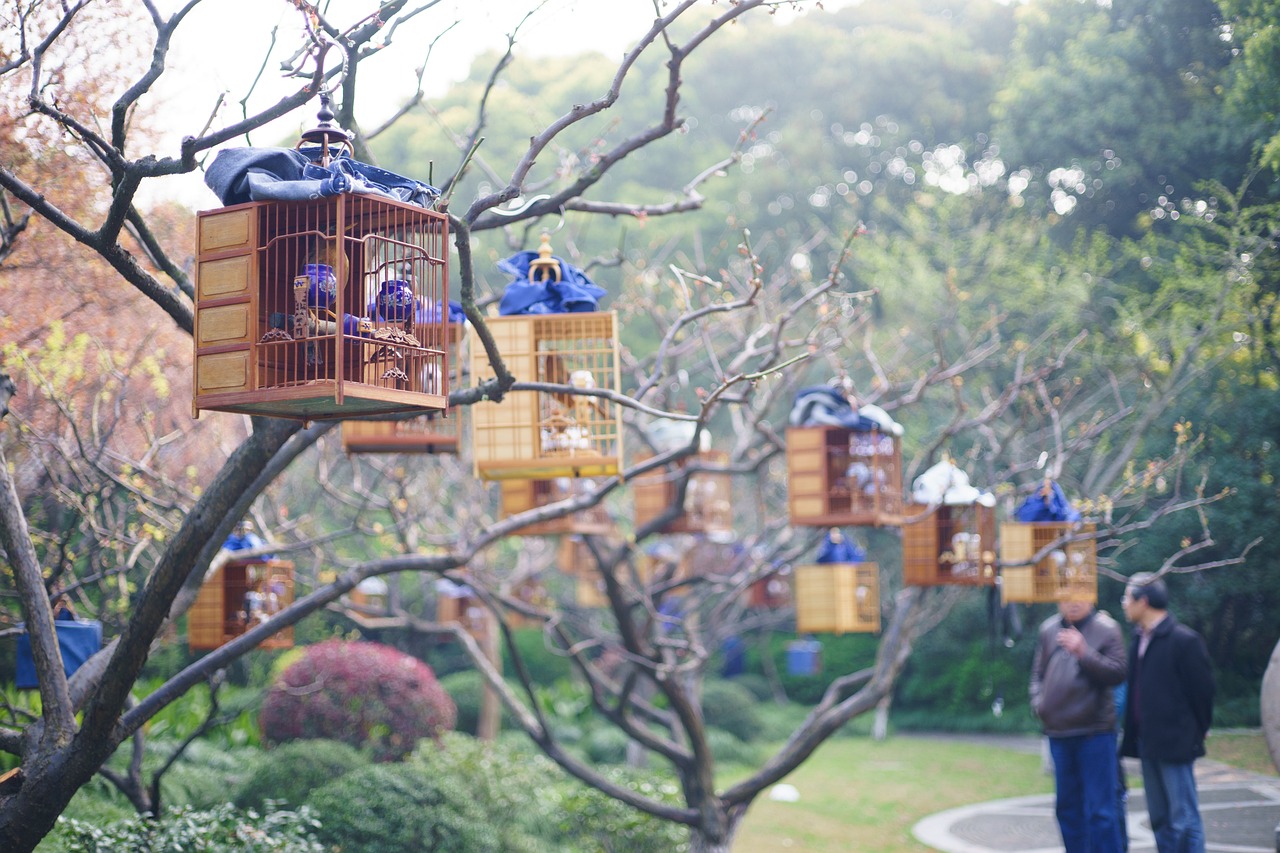 How to Create a Unique Wooden Birdcage